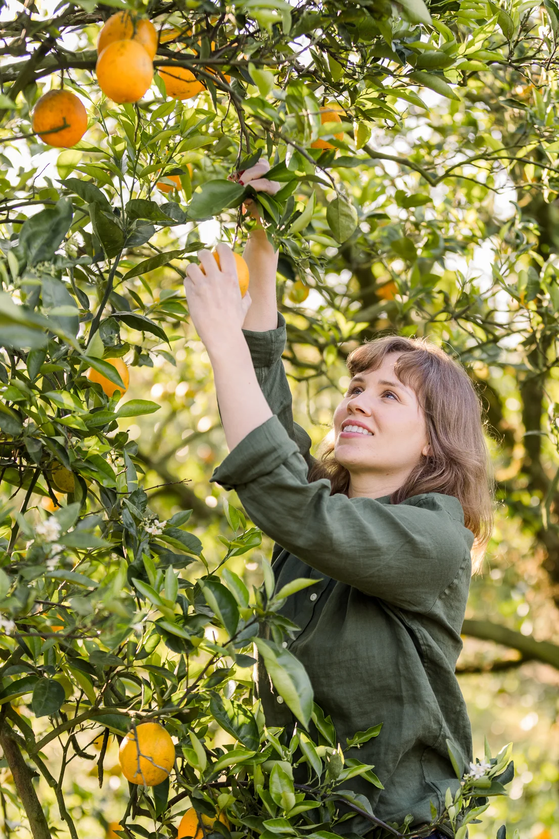 Feek Citrus Grove Sunrise_Verola Media-82